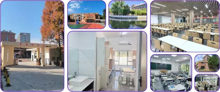 微信图片_20251012090403_119_3